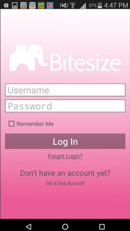 BITESIZE Login Screen Screenshot